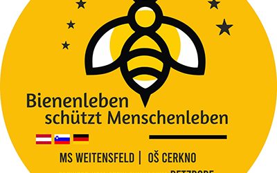 Z mednarodnim srečanjem obeležili svetovni dan čebel